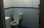 Туры в отель Orchid House