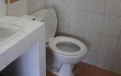 Туры в отель Orchid House