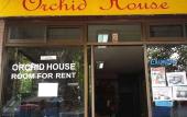 Туры в отель Orchid House