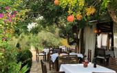 Туры в отель Agroturismo Can Marquet