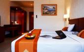 Туры в отель Hotel Mega Lestari