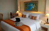 Туры в отель Hotel Mega Lestari