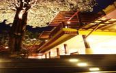 Туры в отель Suanmali Samui