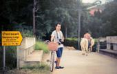 Туры в отель Baanpong Lodge