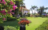Туры в отель Golden Coast Resort & Spa