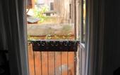 Туры в отель Relais Palazzo Taverna