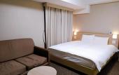 Туры в отель Dormy Inn Express Matsue