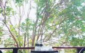 Туры в отель In Touch Resort