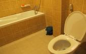 Туры в отель Bautong Lodge Guest House