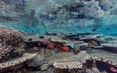 Туры в отель Komodo Resort