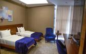 Туры в отель Hotel Gold Majesty