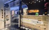 Туры в отель Butternut Tree Hotel