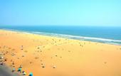 Туры в отель Radisson Blu Hotel Chennai City Centre