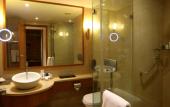 Туры в отель Radisson Blu Hotel Chennai City Centre