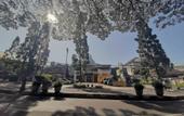Туры в отель The Palais Dago Hotel