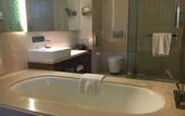 Туры в отель Taj Surajkund Resort & Spa, Delhi NCR