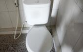 Туры в отель Putu Guest House 2