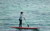Туры в отель Lembongan Harmony Villas