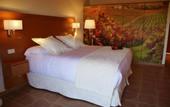Туры в отель Aumallia Hotel & Spa