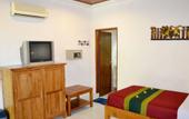 Туры в отель Hotel Flamboyan