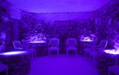 Туры в отель Cimenoglu Hotel