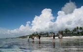 Туры в отель Matemwe Retreat - All Inclusive