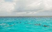 Туры в отель Matemwe Retreat - All Inclusive