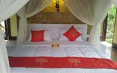 Туры в отель TOYABALI - Resort