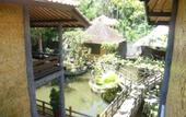 Туры в отель Kangkung Cottages