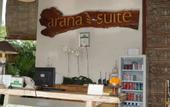 Туры в отель Arana Suite