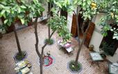 Туры в отель Riad Daria Suites & Spa