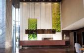 Туры в отель Hotel Kapok Shenzhen Bay