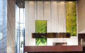 Туры в отель Hotel Kapok Shenzhen Bay