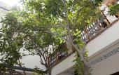 Туры в отель Riad Granvilier