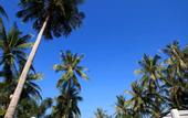 Туры в отель Kupu Kupu Phangan Beach Villas & Spa