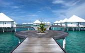 Туры в отель Diamonds Thudufushi Maldives Resort & Spa