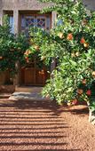 Туры в отель Casa Taos