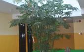 Туры в отель Go Hotels Tacloban
