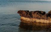 Туры в отель Cavo Zoe Seaside Hotel