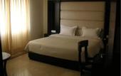 Туры в отель Hotel Meridian Plaza