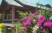 Туры в отель Seaboard Bungalows