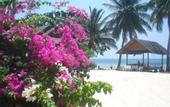 Туры в отель Seaboard Bungalows