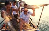 Туры в отель The Au Co Cruises