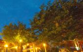 Туры в отель Koh Tao Regal Resort