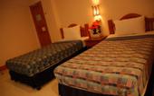 Туры в отель Thaphae Garden Guesthouse
