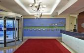 Туры в отель Hampton by Hilton Ordu