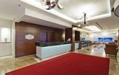 Туры в отель Hampton by Hilton Ordu