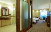 Туры в отель Hampton by Hilton Ordu