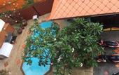 Туры в отель Patong Hillside Hotel