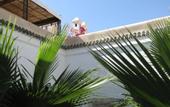 Туры в отель Riad Vert Marrakech